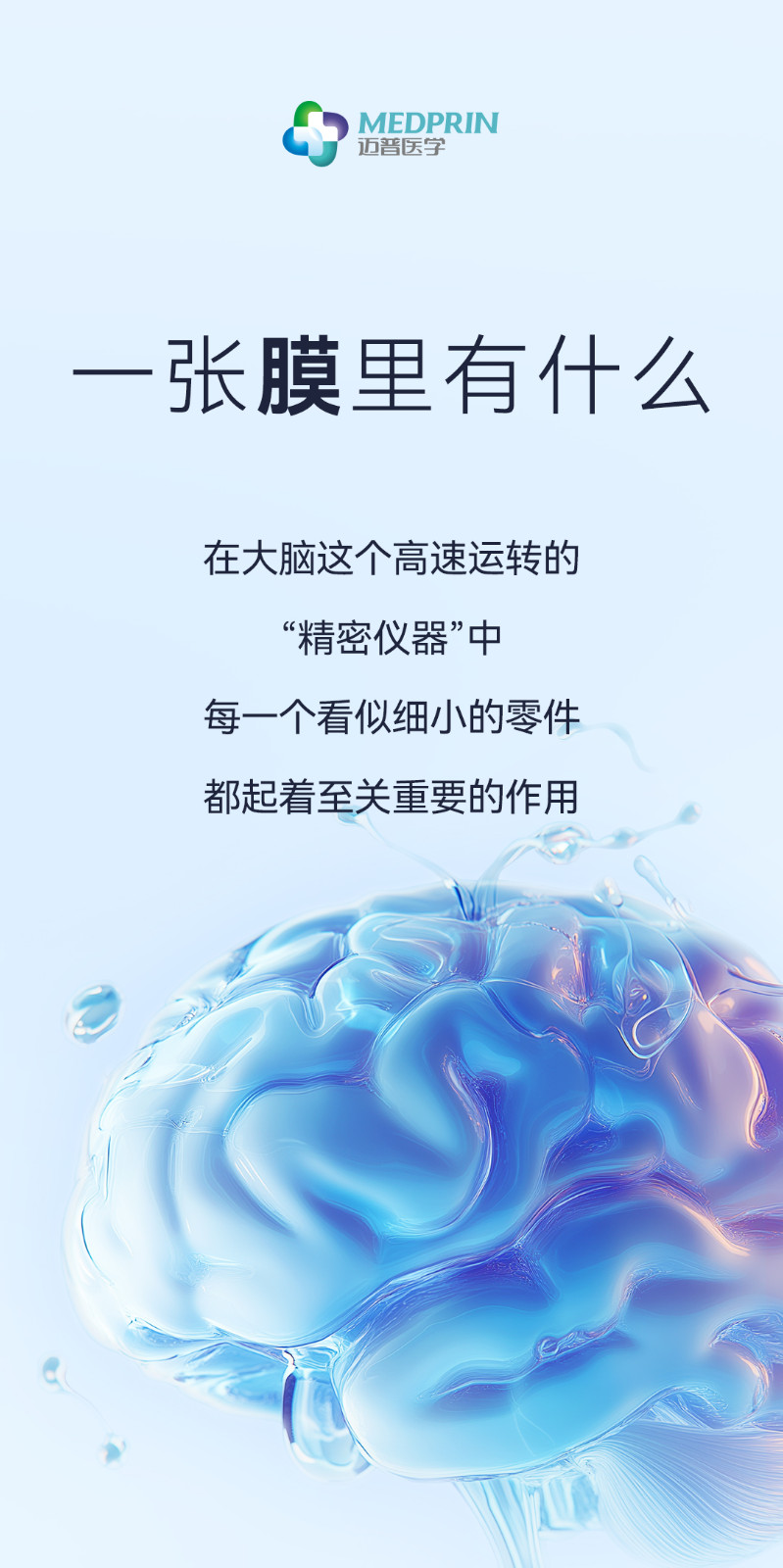 產品推文_腦膜_01.jpg