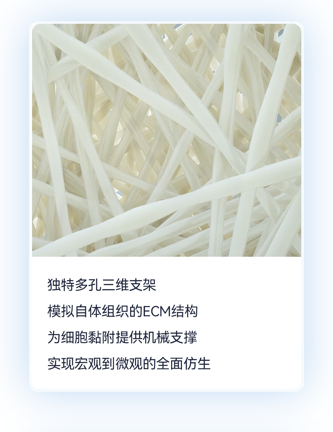產品推文_腦膜_04.jpg