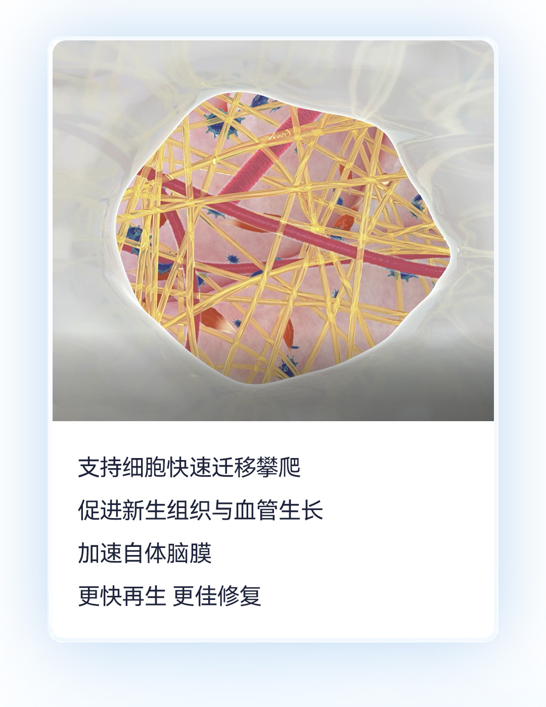 產品推文_腦膜_08.jpg