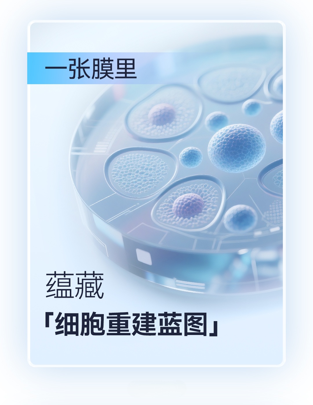 產品推文_腦膜_04-1_副本.jpg