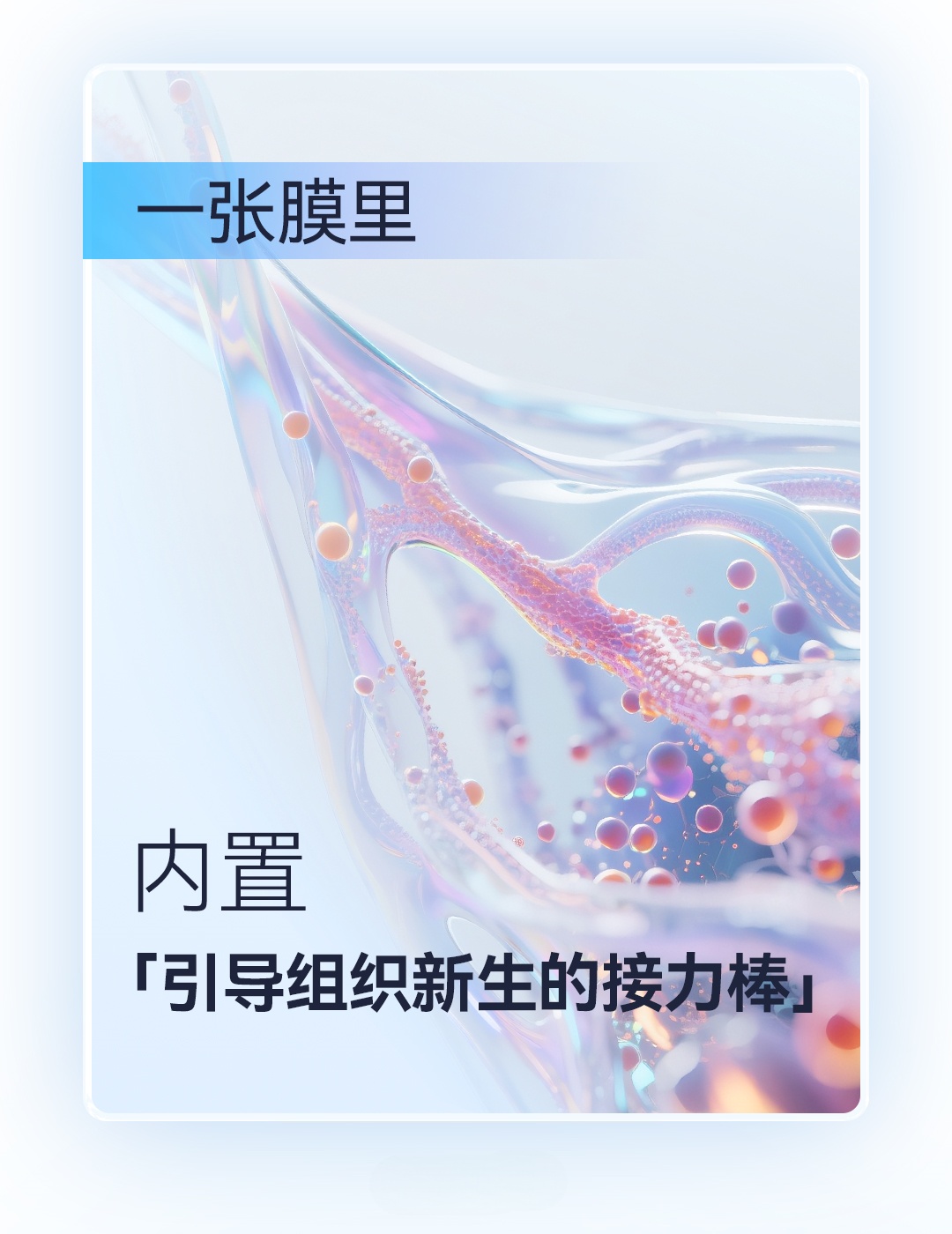 產品推文_腦膜_08-1_副本.jpg